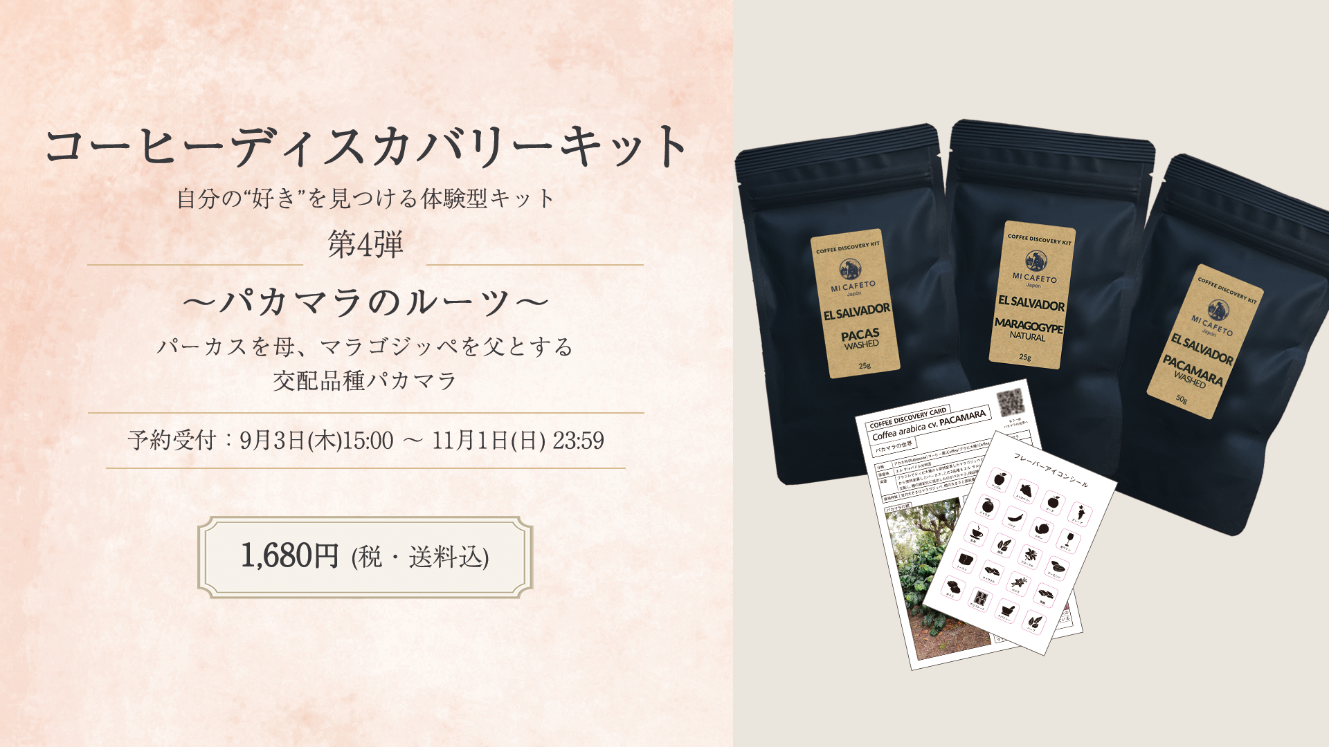 コーヒーディスカバリーキット第4弾