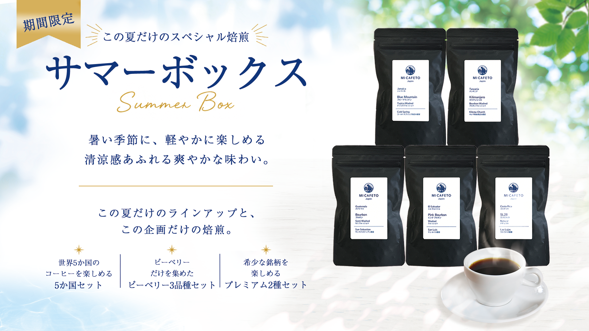 サマーボックス