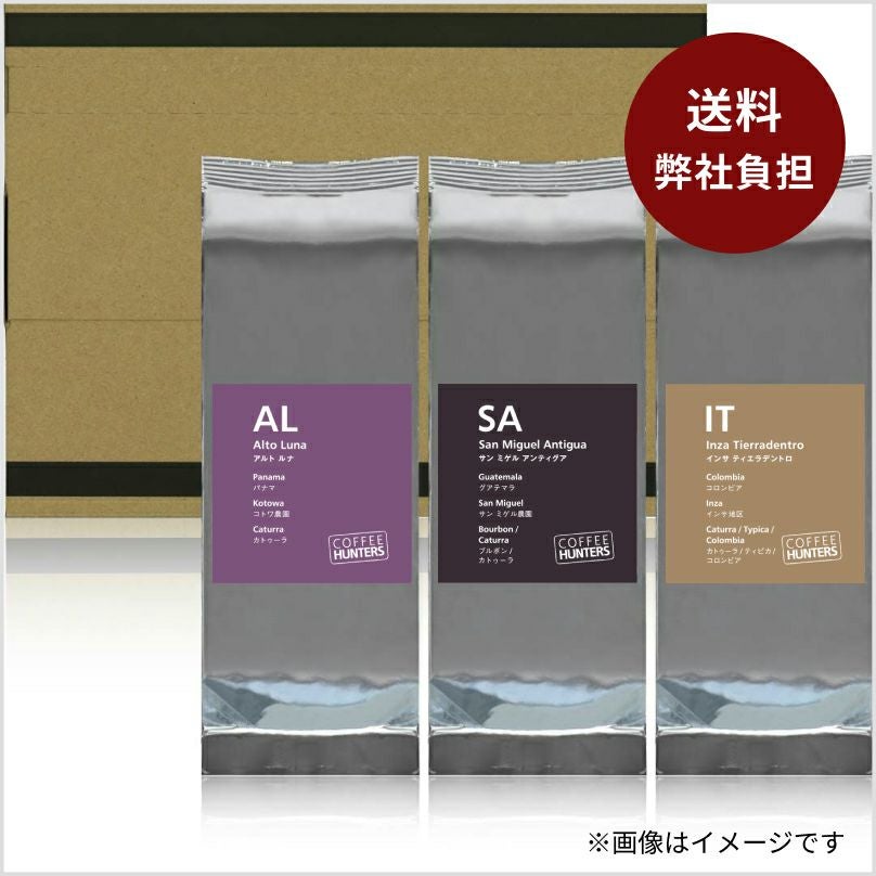 コーヒー　16日発送 コーヒーお試しセット COFFEE HUNTERS （送料弊社負担